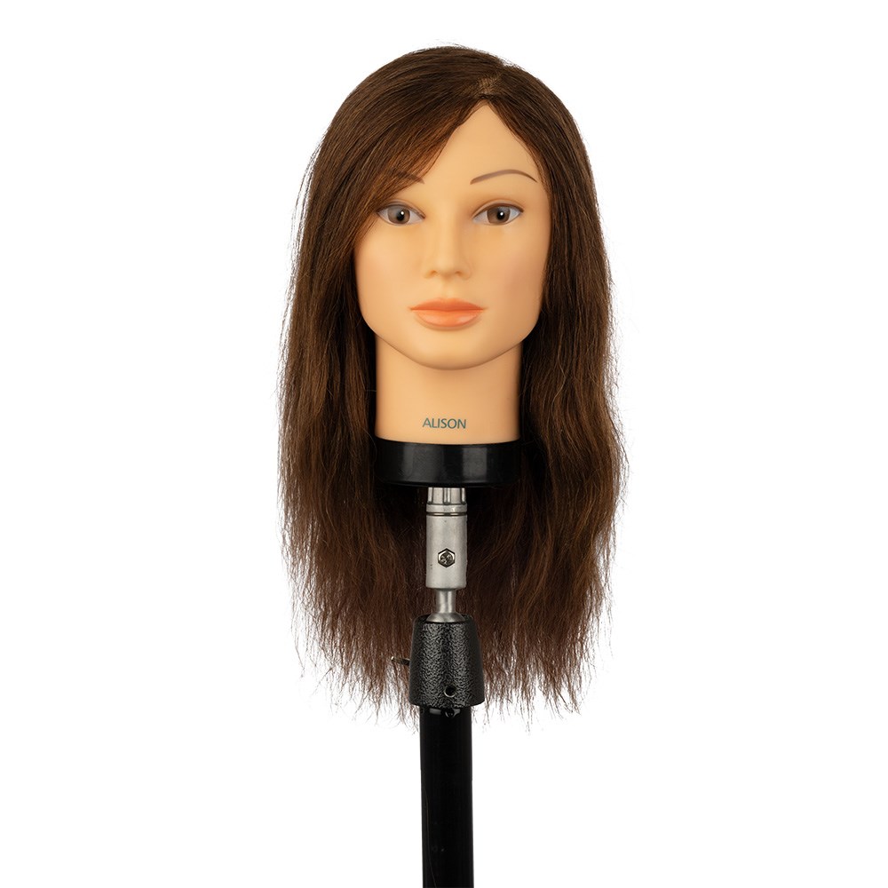 Dateline Professional Alison Mannequin Home Hairdresser