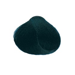 Echos Color Hair Colour 1.10 Ash Blue Black