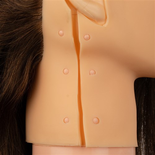 Dateline Professional Clip-On Full Head