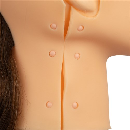 Dateline Professional Clip-On Rectangle Base