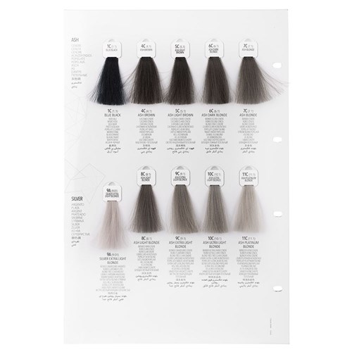 Screen Dorado Colour 11C Ash Platinum Blonde